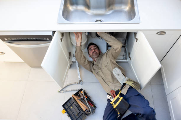 Best Affordable Plumbing Services  in Bridgeport, MI