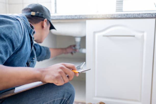 Best Plumbing Repair Near Me  in Bridgeport, MI