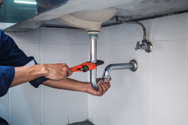 Best Commercial Plumbing Services  in Bridgeport, MI