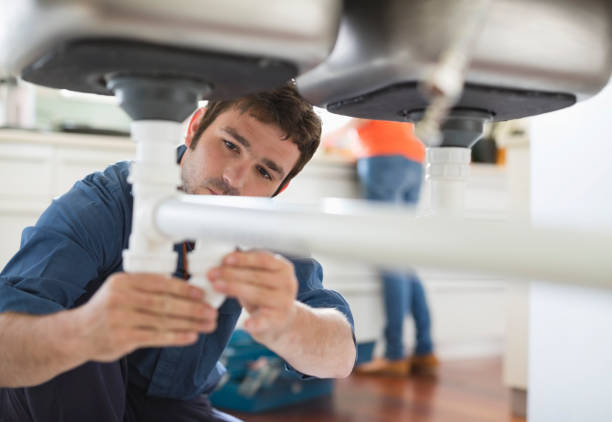 Best Drain Cleaning Services  in Bridgeport, MI