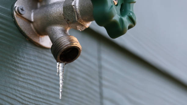 Best Local Plumber Services  in Bridgeport, MI