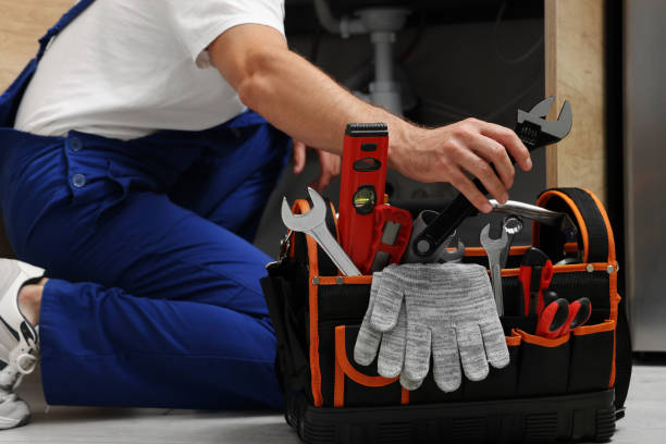 Best Affordable Plumber Near Me  in Bridgeport, MI