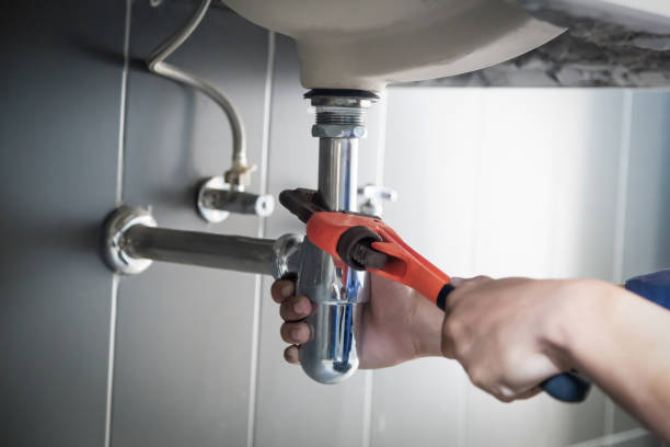 Best Plumbing Inspection Services  in Bridgeport, MI