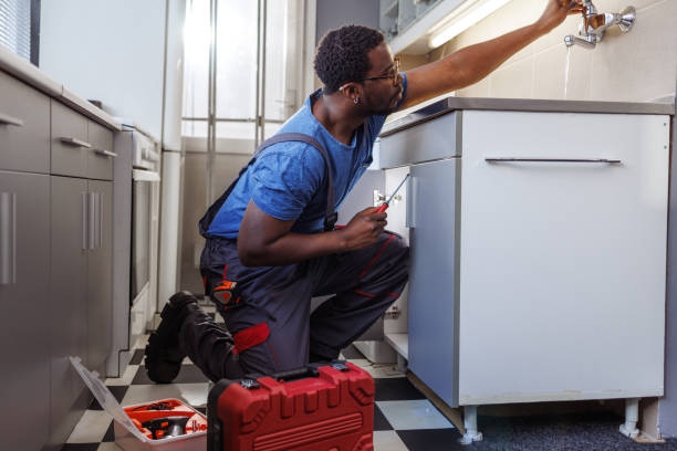Best Water Softener Installation  in Bridgeport, MI